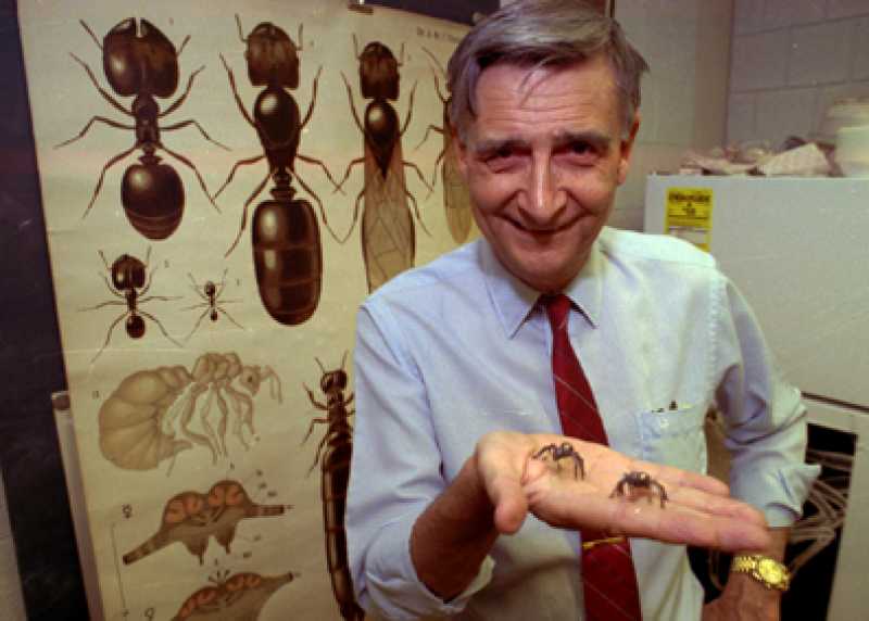 E.O. Wilson - What's in a name?