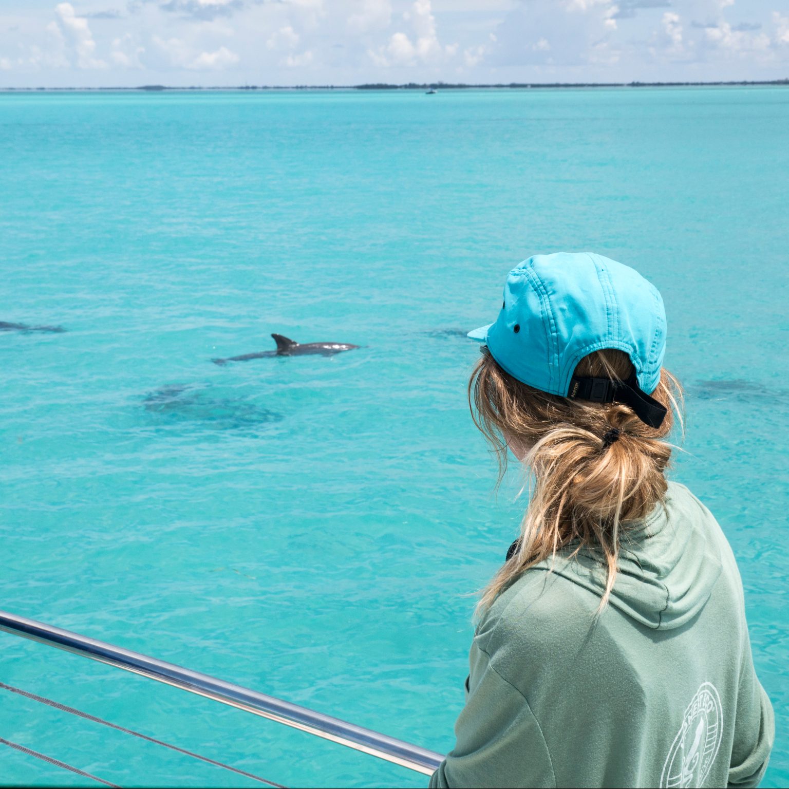 Understanding Dolphin Behavior and Their Personality Traits
