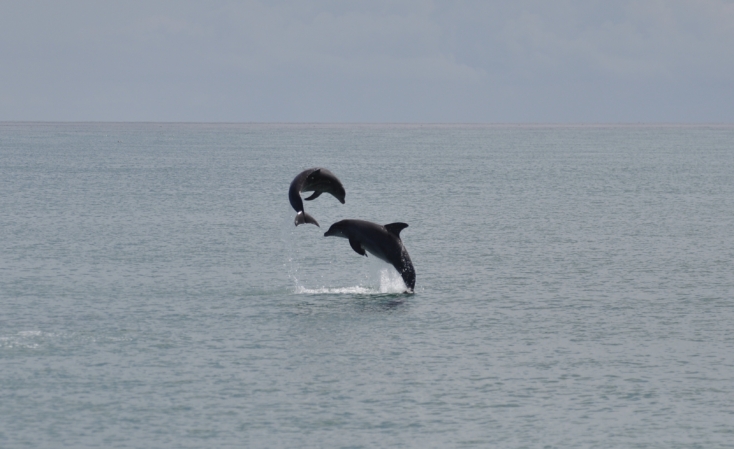 Genuine Hospitality Eco Tours