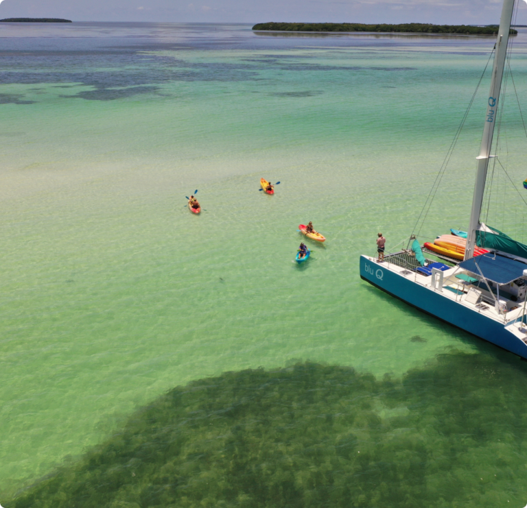 Sandbar kayaking in Key West