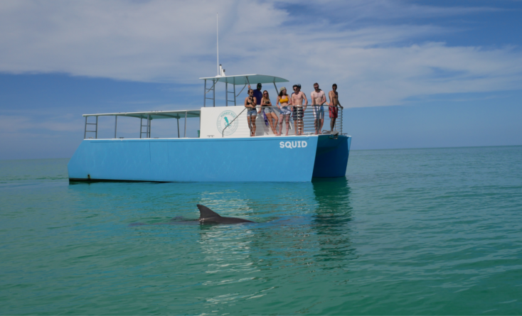 Small Group Eco Tours