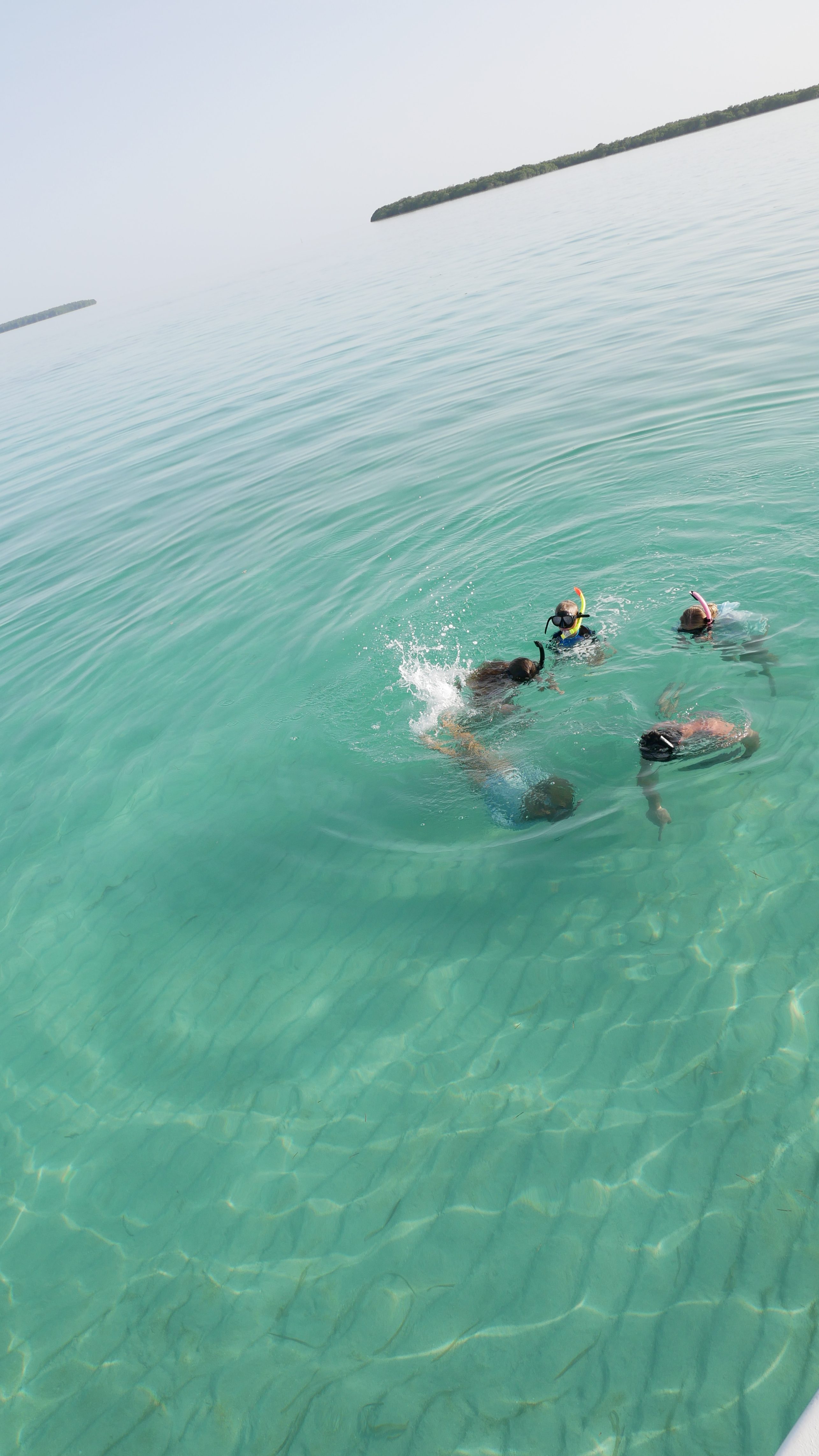 Sandbar Snorkeling