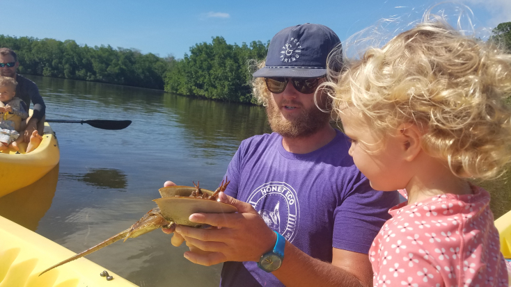 Mangrove Kayak + Guided Snorkel & Sunset Sail photos