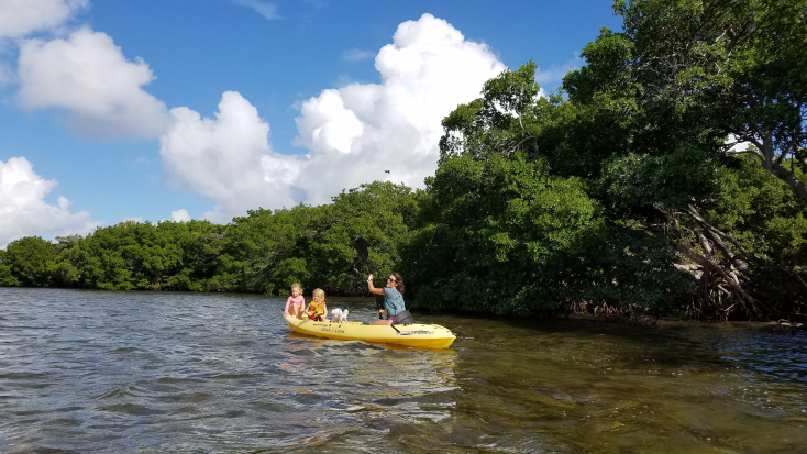 Mangrove Kayak + Guided Snorkel & Sunset Sail photos