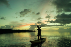 Sunset Sail + Kayak tour & Guided Snorkel in Key West