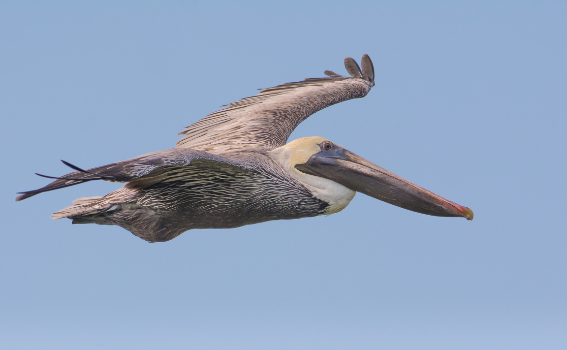 Key West National Wildlife Refuge