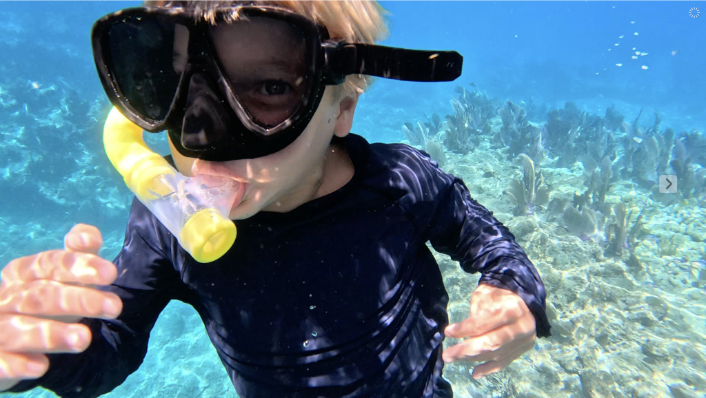 Snorkeling in Key West for Beginners | Guided Snorkel & Sail