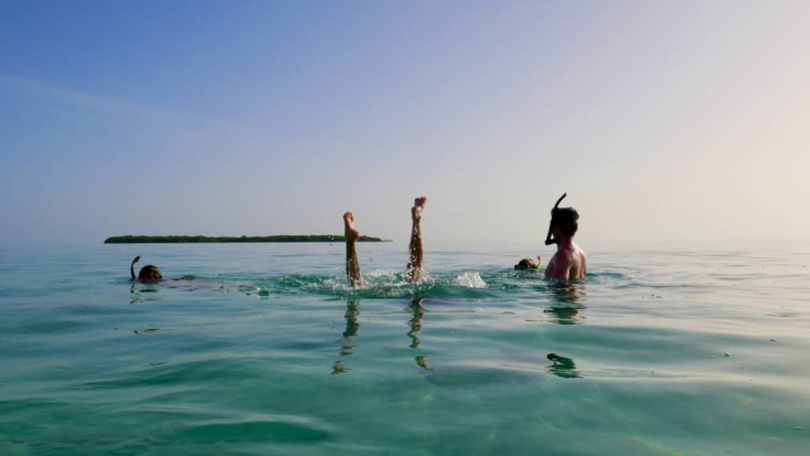 Best Places to Snorkel in Key West and the Lower Florida Keys