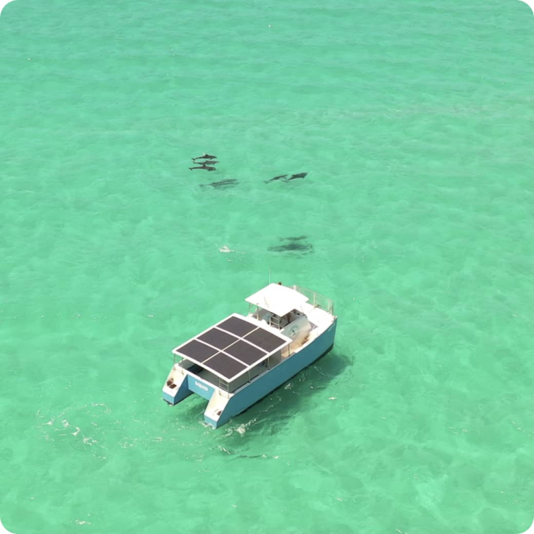 Key West Dolphin Playground