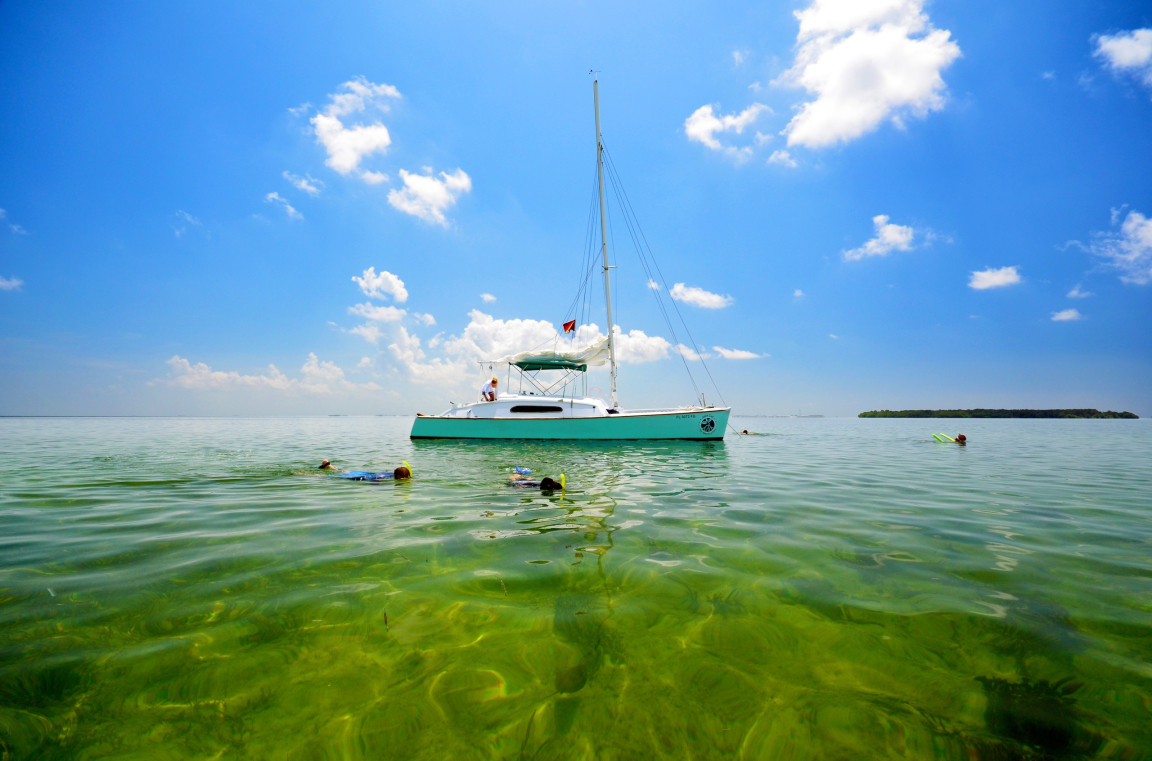 Guests snorkeling in shallow Key West waters